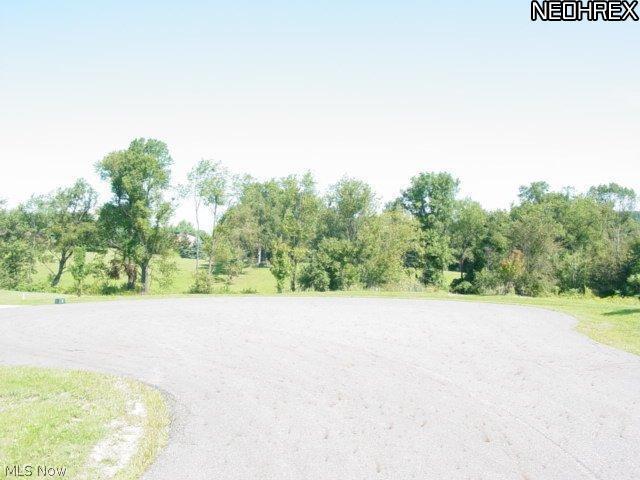 BLUESTONE LAKE - Land