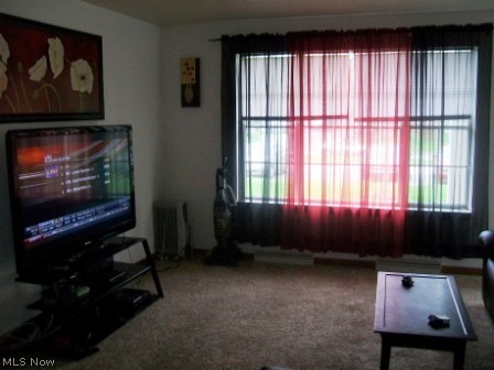 Wedgewood Condo - Residential