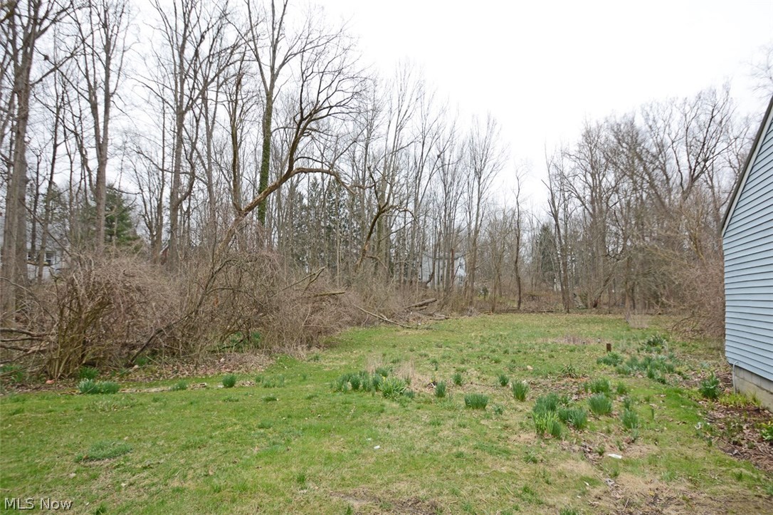 Olmsted 05 - Residential