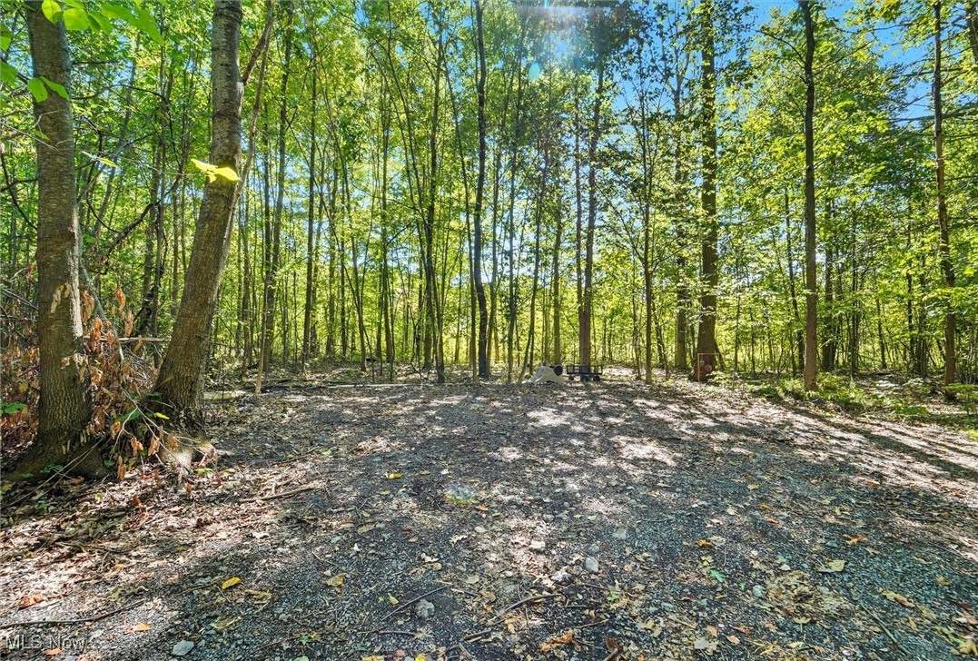 Connecticut Western Reserve - Land