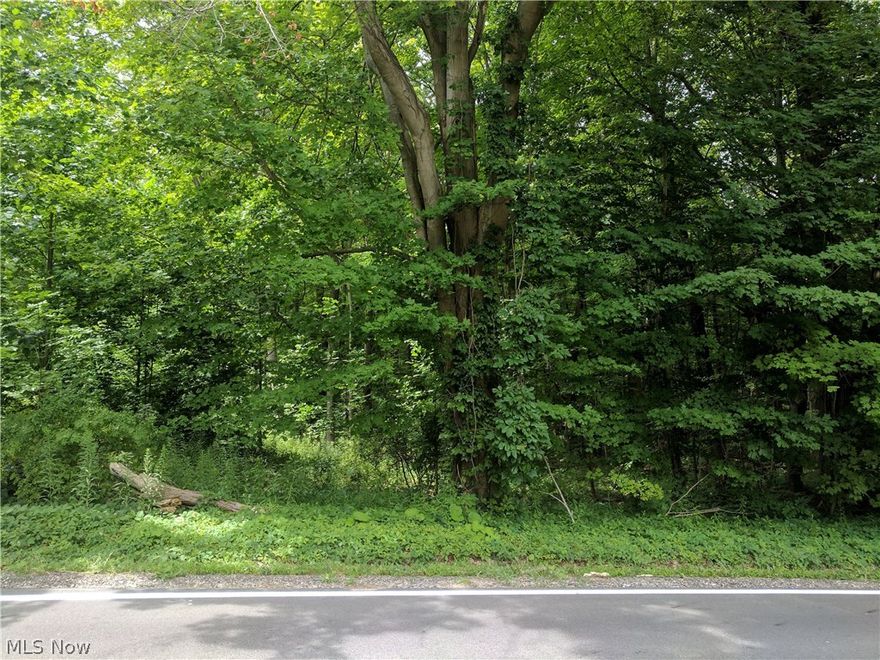 Private wooded lot unimproved.  Neighboring 6 acre lot is adjacent to home also available.