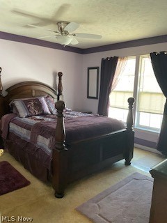 Meadows/Oakwood Ph 3 - Residential