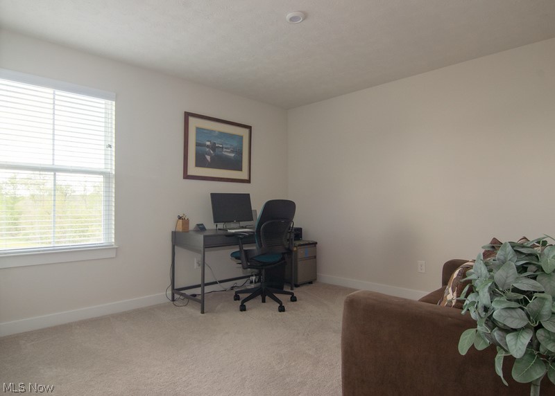 Wedgewood Estates Ph 1 - Residential