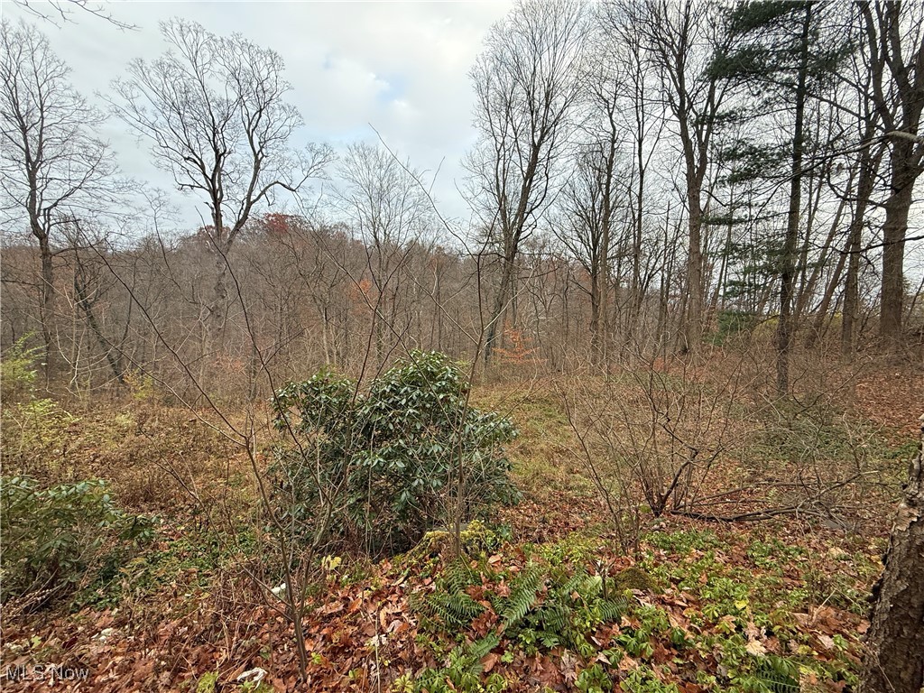 Oak Knoll Estates - Land