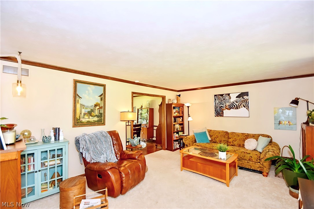 Meadows Sub - Residential