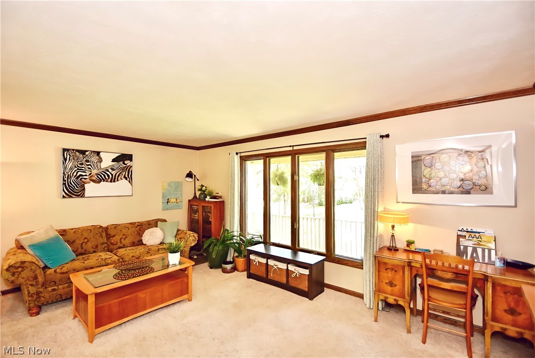 Meadows Sub - Residential