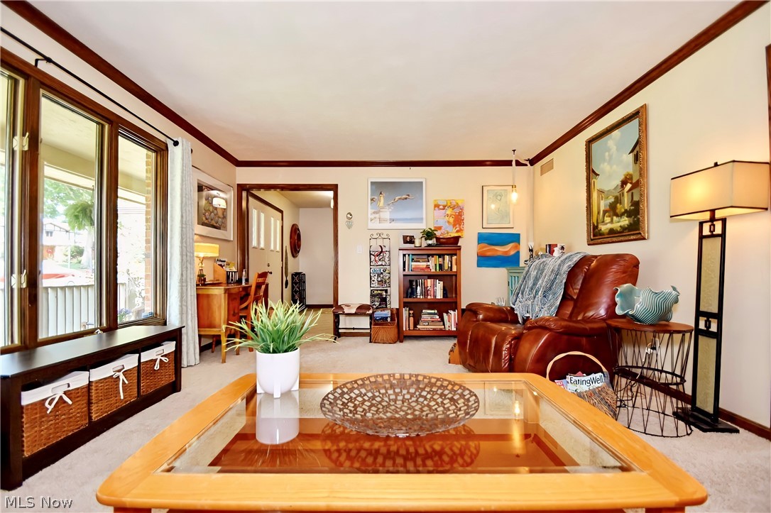 Meadows Sub - Residential