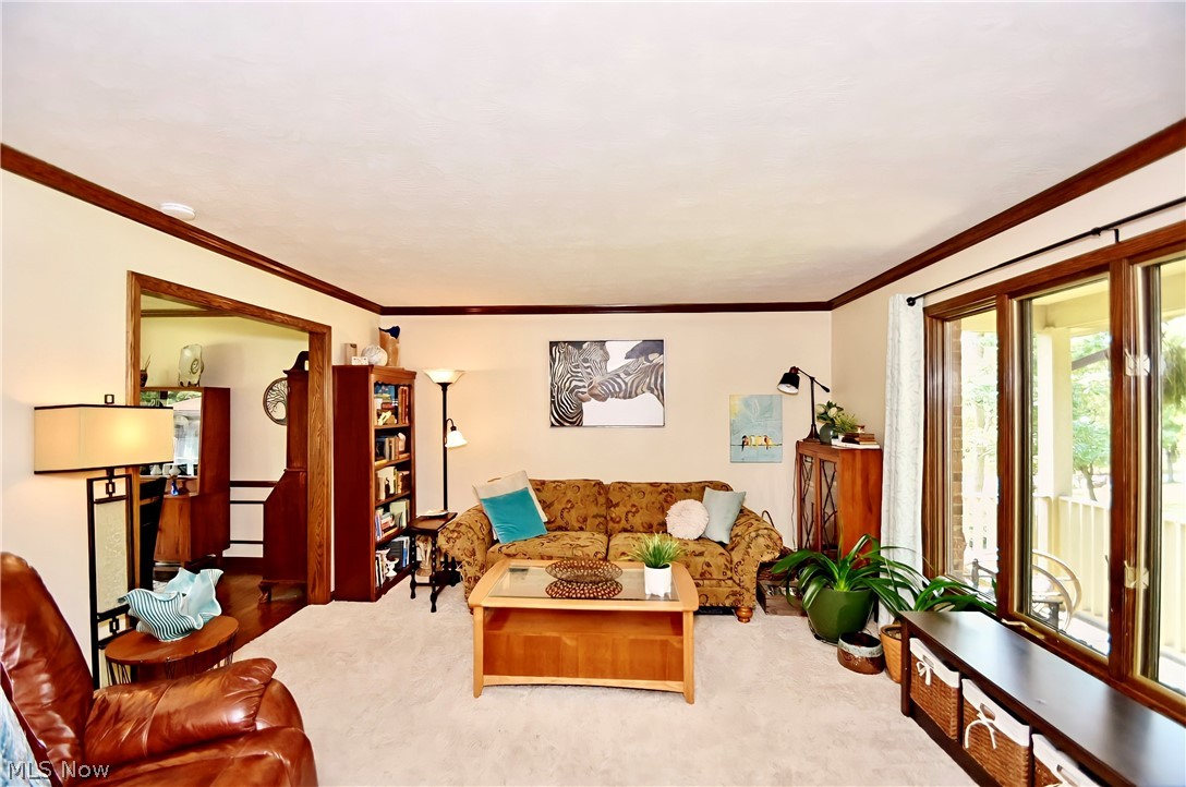 Meadows Sub - Residential