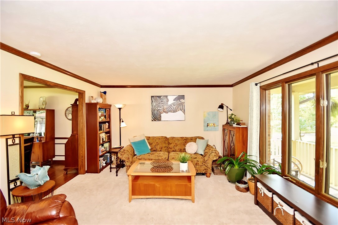 Meadows Sub - Residential