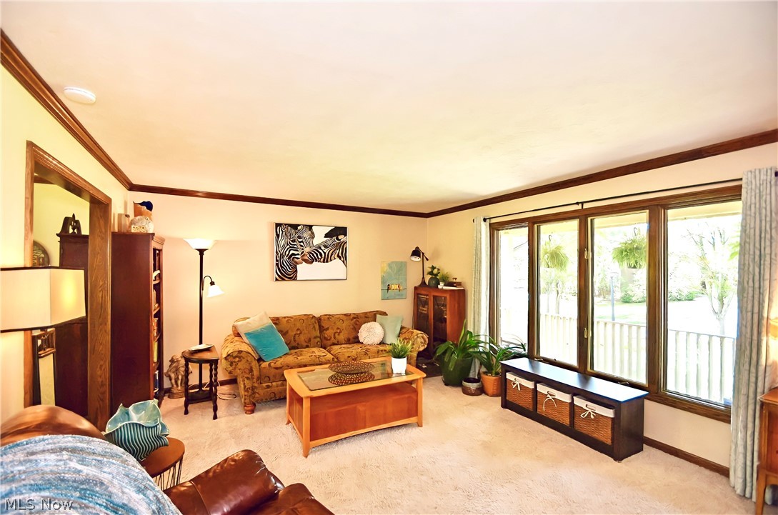 Meadows Sub - Residential