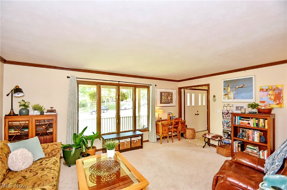 Meadows Sub - Residential