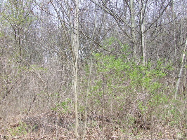 Fairlawn Heights Allotment Sec F - Land