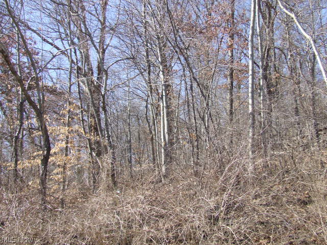 Fairlawn Heights Allotment Sec F - Land