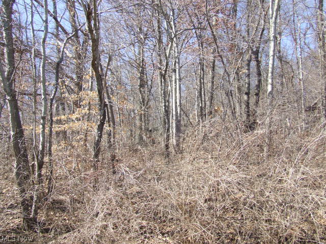 Fairlawn Heights Allotment Sec F - Land