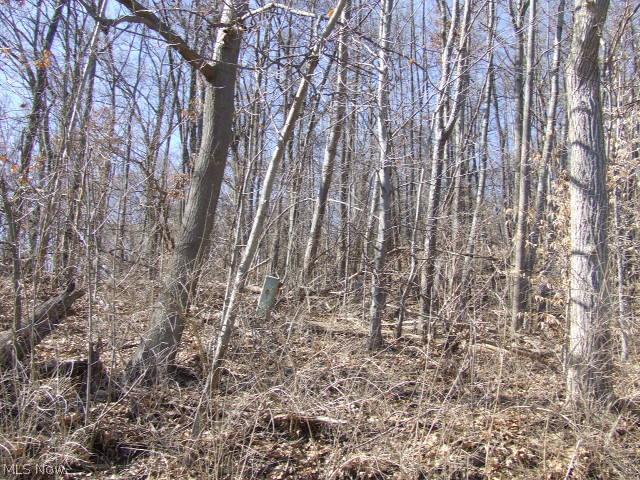 Fairlawn Heights Allotment Sec F - Land