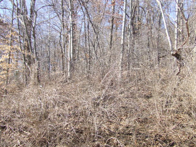 Fairlawn Heights Allotment Sec F - Land