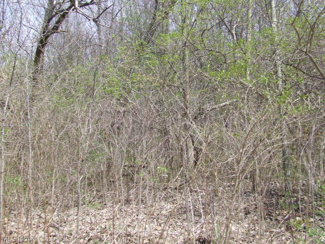 Fairlawn Heights Allotment Sec F - Land