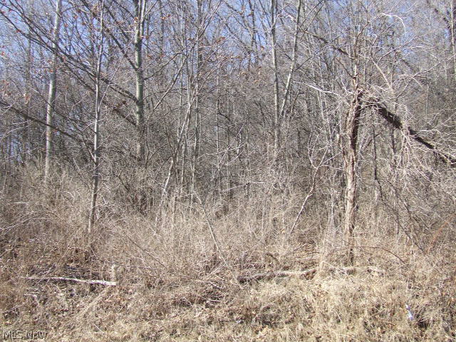 Fairlawn Heights Allotment Sec F - Land