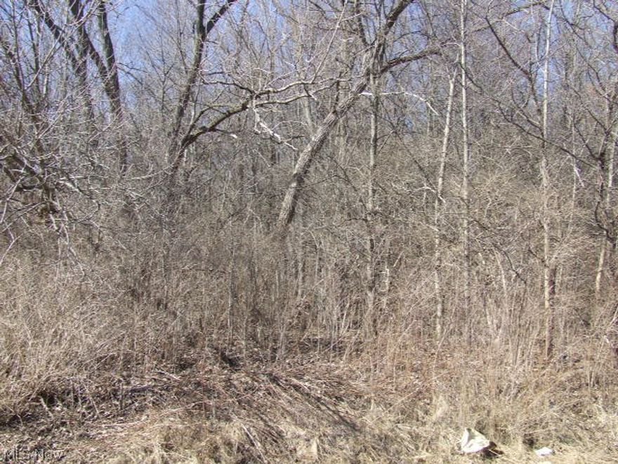 Rare vacant lot in West Akron, almost 1/2 acre. One more next to it could combine for almost 1 full acre! Rolling, sloping wooded lots, no neighbors behind or across the street. Close to West Market St, Fairlawn activities and the expressway, yet out of the busy hub!