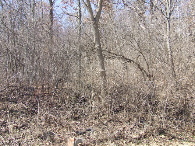 Fairlawn Heights Allotment Sec F - Land