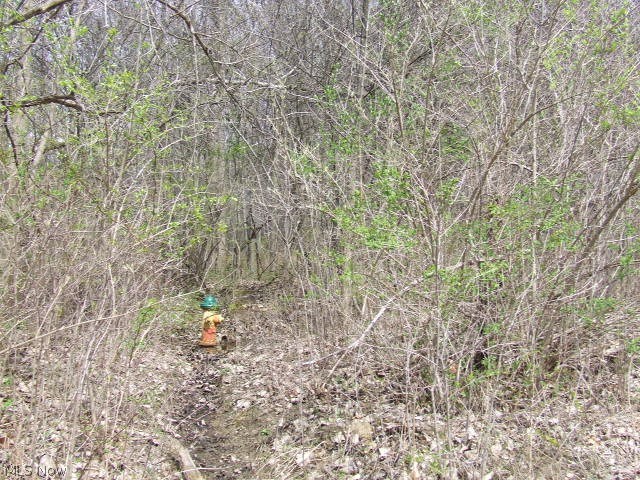 Fairlawn Heights Allotment Sec F - Land