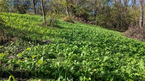 Tiny photo for 40579 Keithtown Road, Caldwell, OH 43724 (MLS # 5165481)