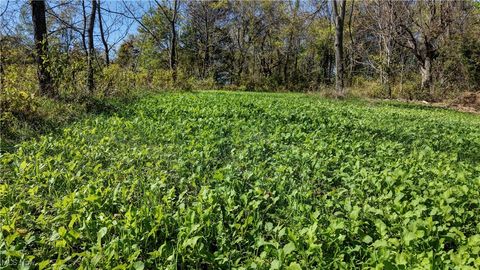 Tiny photo for 40579 Keithtown Road, Caldwell, OH 43724 (MLS # 5165481)