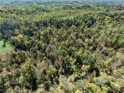 Tiny photo for 40579 Keithtown Road, Caldwell, OH 43724 (MLS # 5165481)