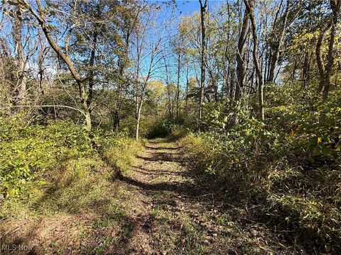 Tiny photo for 40579 Keithtown Road, Caldwell, OH 43724 (MLS # 5165481)