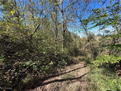 Tiny photo for 40579 Keithtown Road, Caldwell, OH 43724 (MLS # 5165481)
