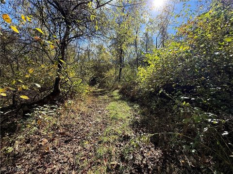 Tiny photo for 40579 Keithtown Road, Caldwell, OH 43724 (MLS # 5165481)