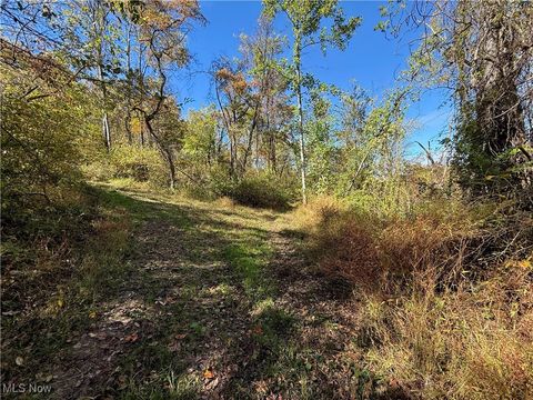 Tiny photo for 40579 Keithtown Road, Caldwell, OH 43724 (MLS # 5165481)