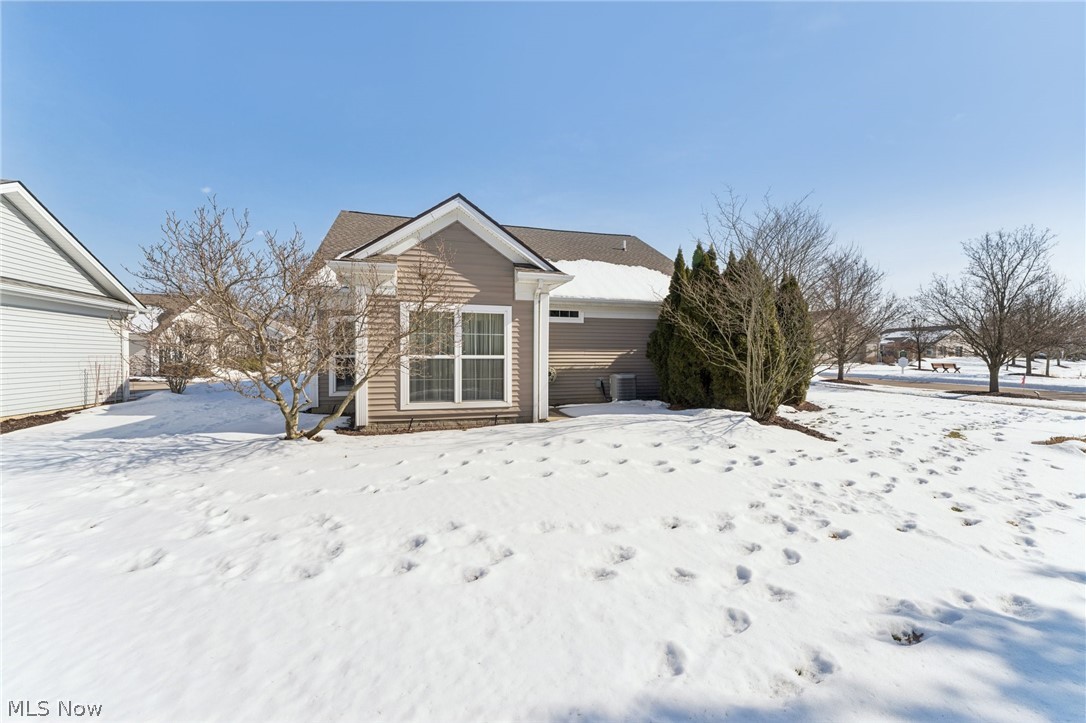 Arbors of Bridgewater Crossing - Residential