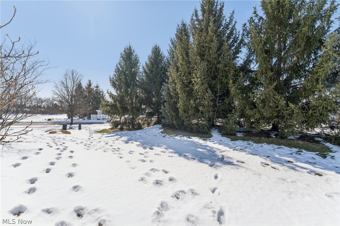 Arbors of Bridgewater Crossing - Residential