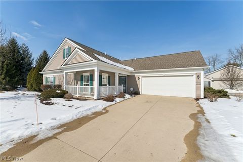 5415 Lake Forest Reserve Lane Brunswick OH 44212
