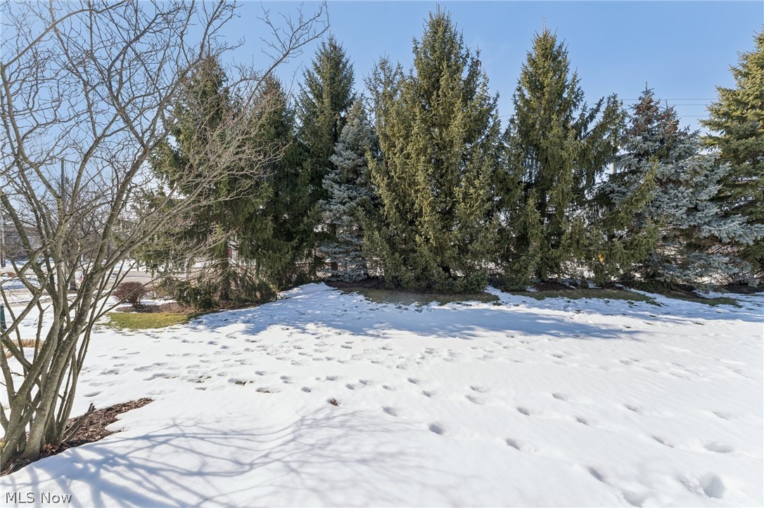 Arbors of Bridgewater Crossing - Residential