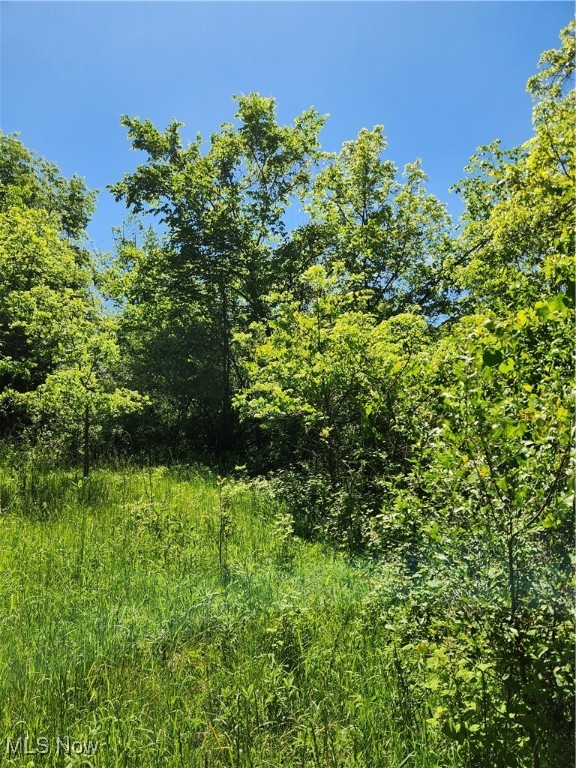 Morrison Hill Road, Caldwell, Ohio image 9