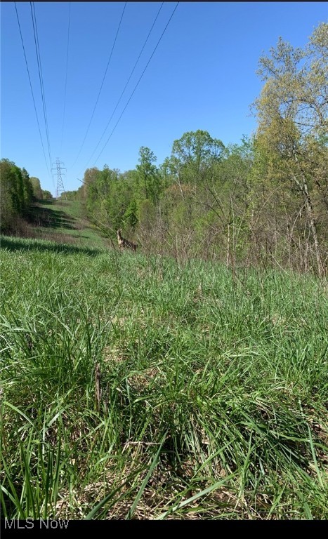 Morrison Hill Road, Caldwell, Ohio image 14