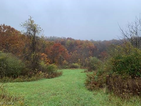 Morrison Hill Road, Caldwell, Ohio image 3