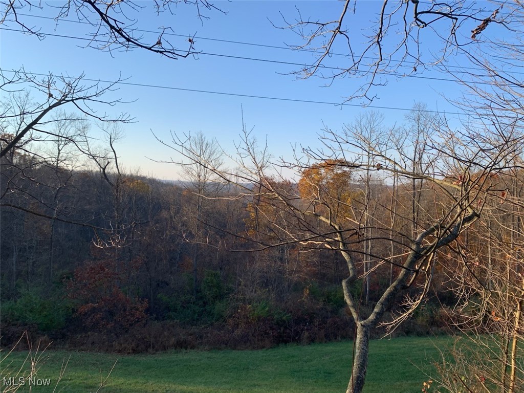 Morrison Hill Road, Caldwell, Ohio image 4