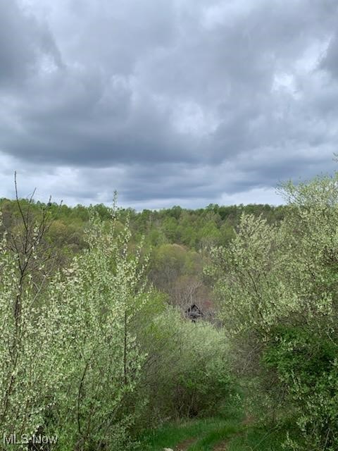 Morrison Hill Road, Caldwell, Ohio image 5