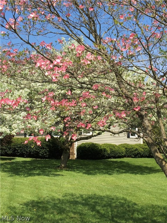 Brookhill Estates - Residential