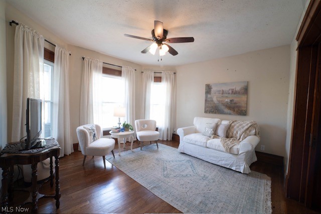 King Allotment - Residential