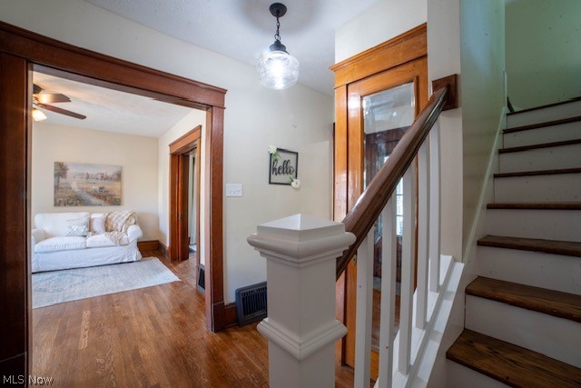 King Allotment - Residential