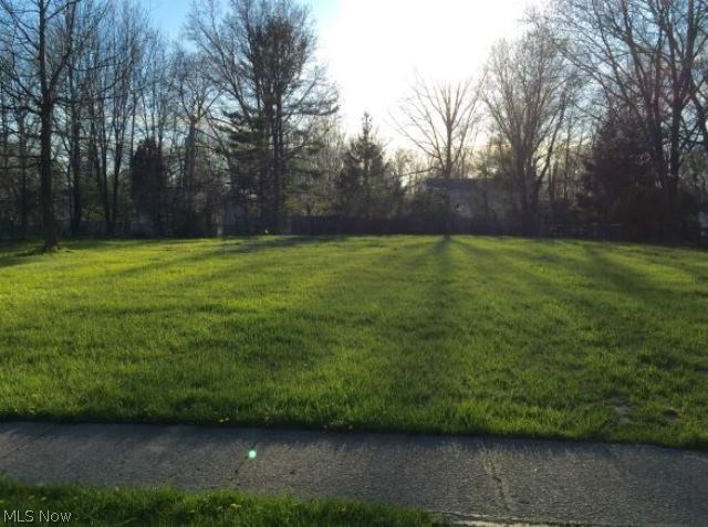 Great emply lot up for grabs in Avon Lake near State Road 83. The lot is 0.34 acre and quite level. Located in residential area.