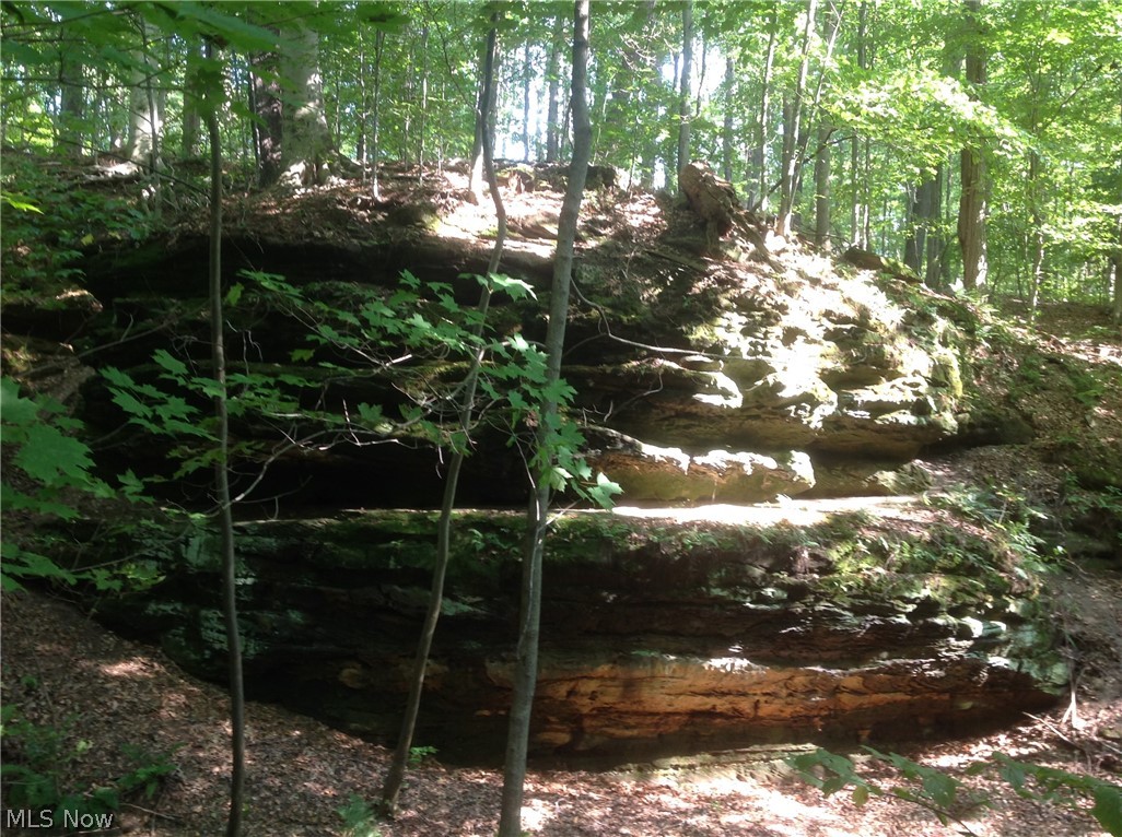 Sharon - Residential