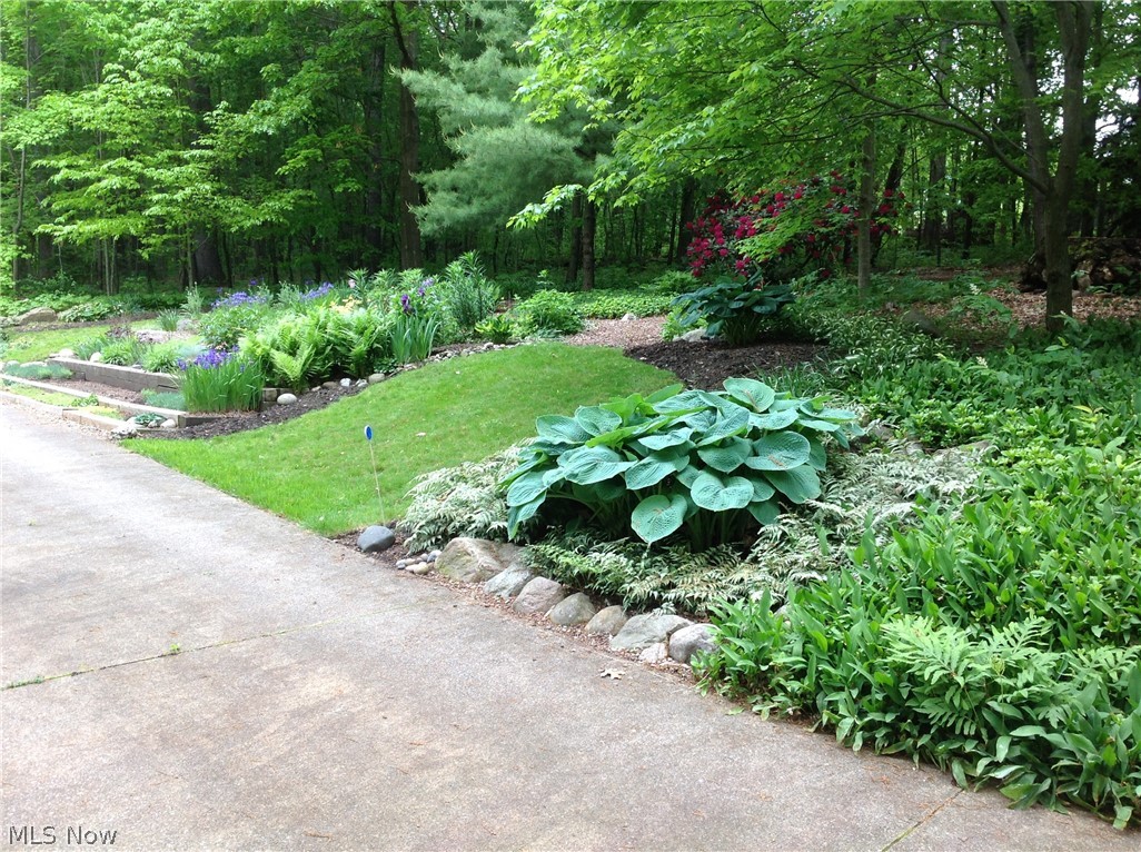 Sharon - Residential