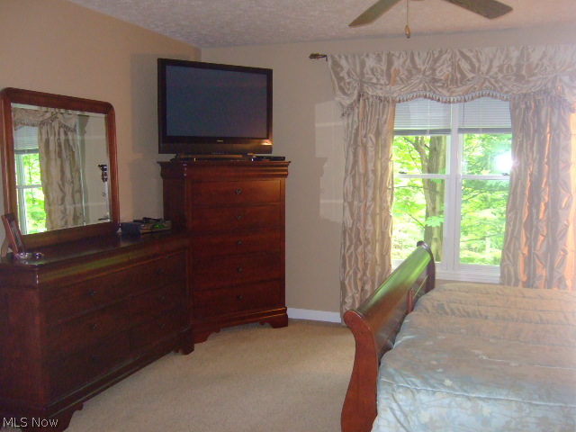 Villas of Macintosh Farms - Residential