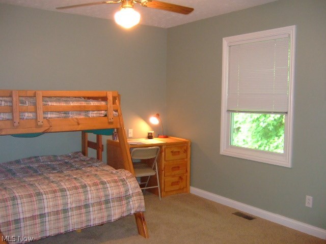 Villas of Macintosh Farms - Residential