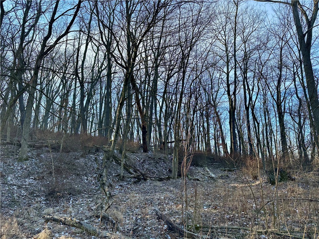 TBD Mchendry Street, Weirton, West Virginia image 2